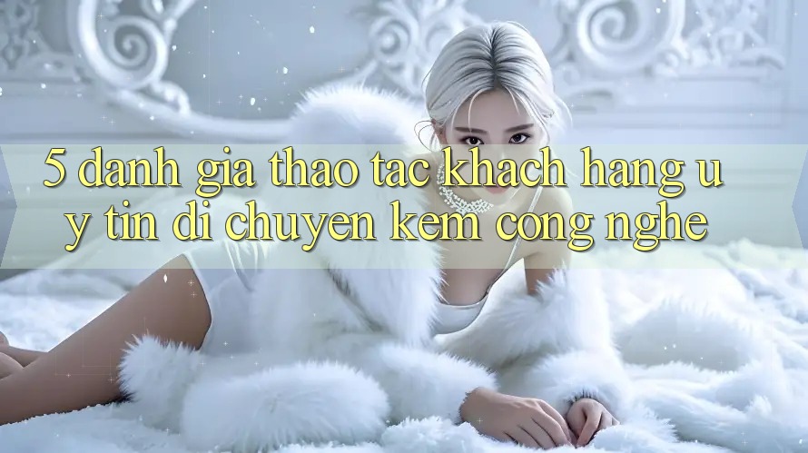 5. Đánh Giá Thao tác Khách Hàng: Uy Tín Di chuyển Kèm Công Nghệ