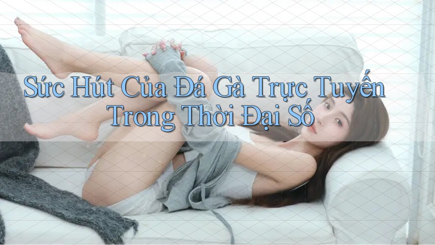 Sức Hút Của Đá Gà Trực Tuyến Trong Thời Đại Số Sức Hút Của Đá Gà Trực Tuyến Trong Thời Đại Số