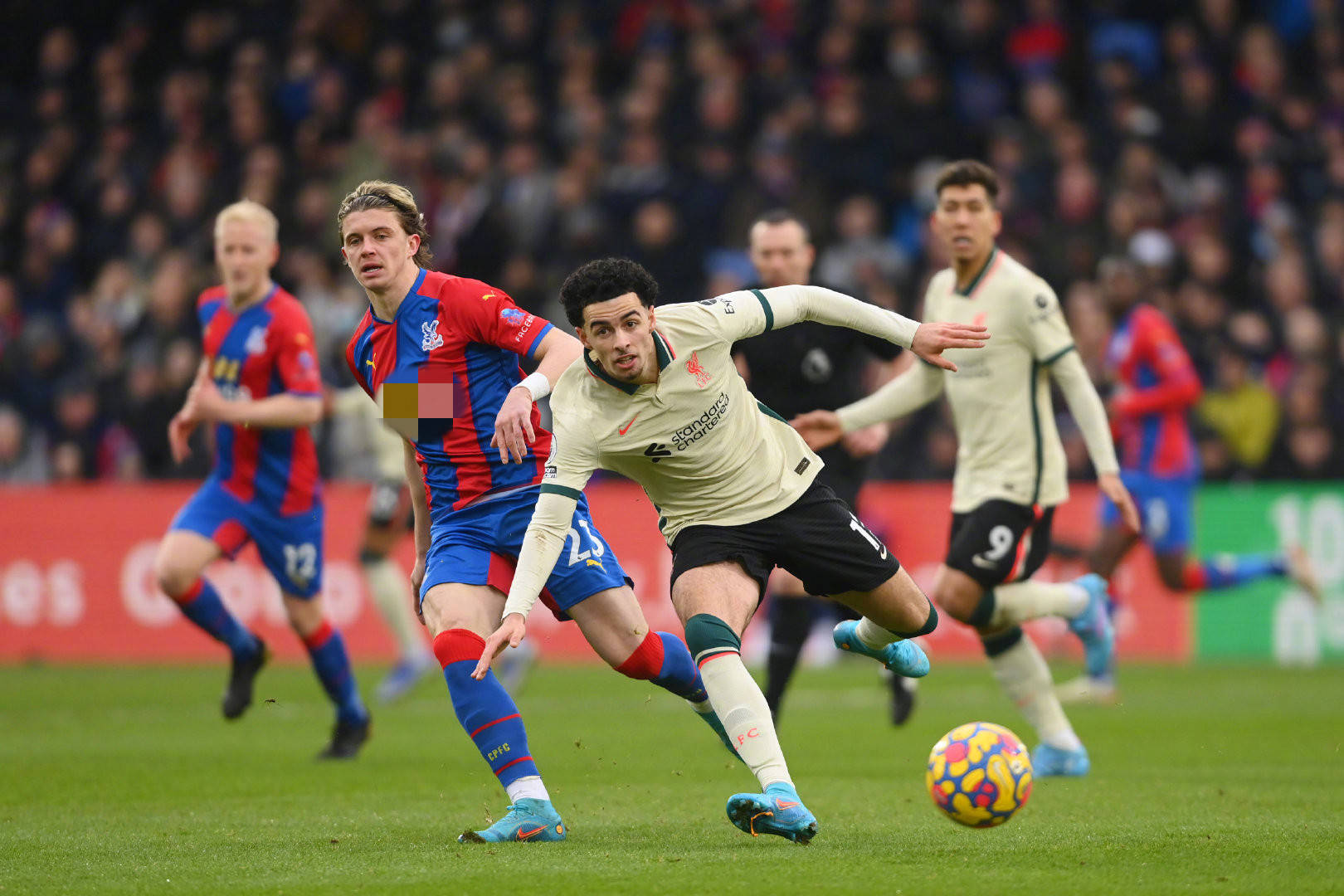 以及他对不 以及他对不